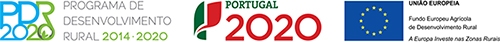 Projecto cofinanciado de  Otimização e capacitação da unidade produtiva